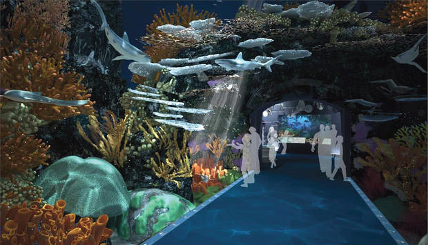 Coral Tunnel New York Aquarium Ocean Wonders: Sharks! 
