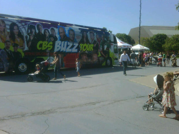 Buzz Bus 1 