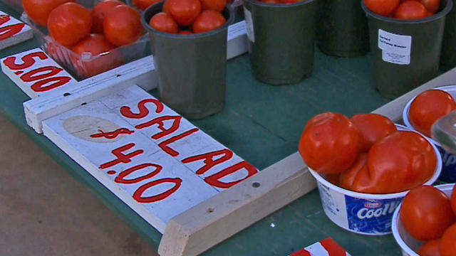 tomato-stand.jpg 