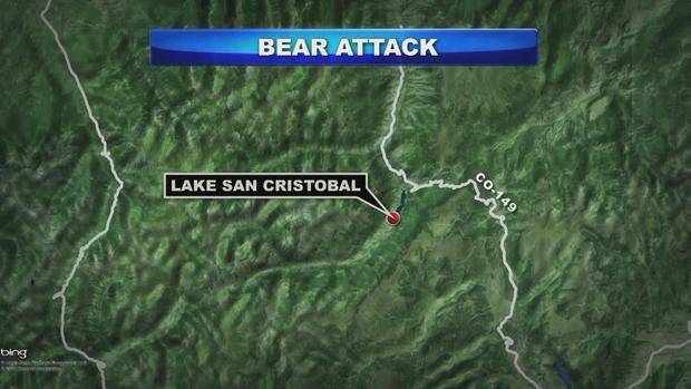BEAR ATTACK MAP 
