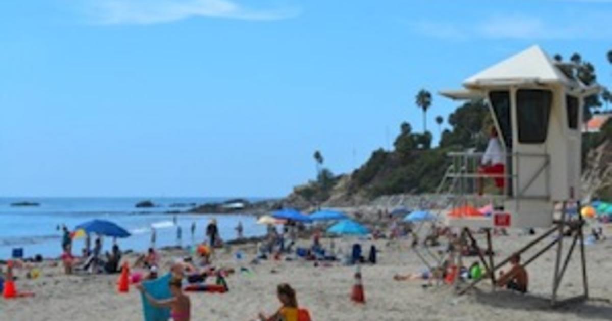 Laguna Beach Travelers - Complete Set of 8