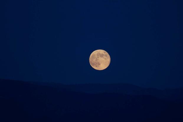 blue-moon-salzman.jpg 