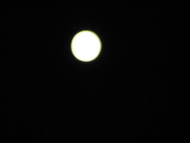 blue-moon-leonard.jpg 