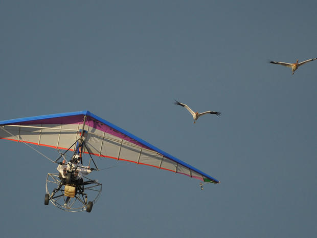Russian President Vladimir Putin flies in a motorized hang glider 