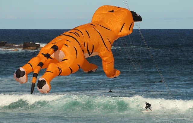 Australia's largest kite flying festival