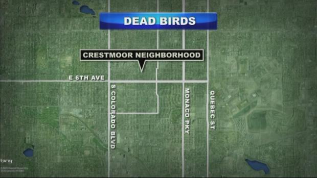 Dead Birds Map 