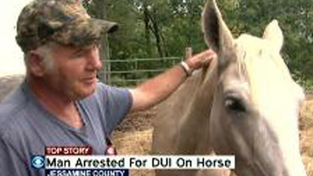 horse+dur.jpg 