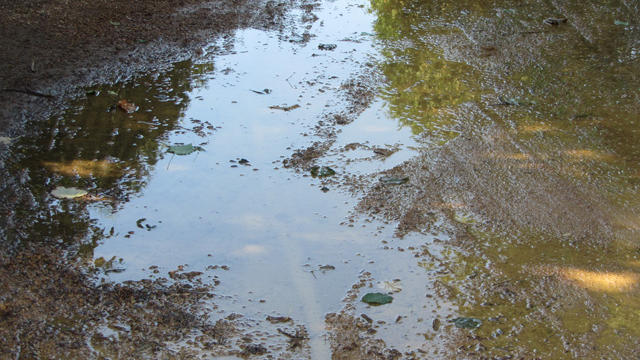generic-weather-rain-puddle.jpg 