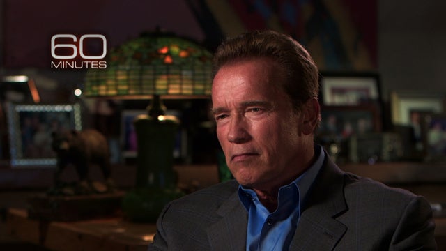 Schwarzenegger seeks second act 