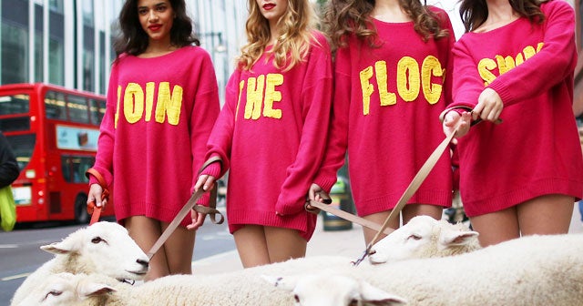 Models with sheep?