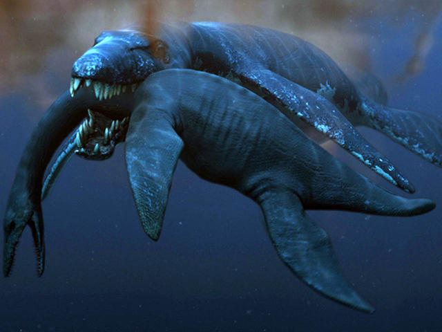 Ten weirdest animal discoveries of 2012 - CBS News