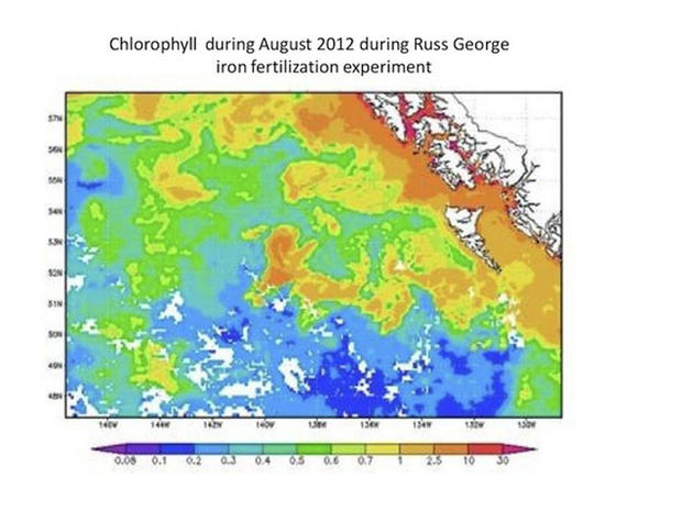 Chlorophyll levels off the west coast of Canada in August 2012, about a month after a controversial ocean-fertilization project. 