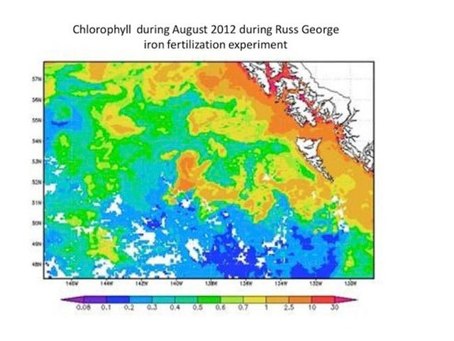 Chlorophyll levels off the west coast of Canada in August 2012, about a month after a controversial ocean-fertilization project. 