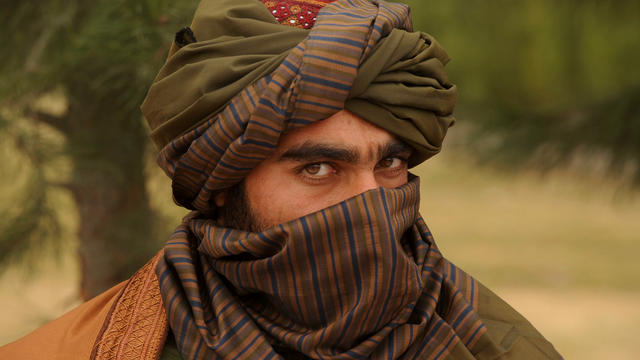 taliban, generic 