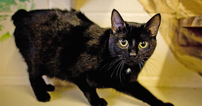 Superstitions Why You Believe CBS News Superstitions Why You Believe CBS News