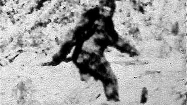 bigfoot.jpg