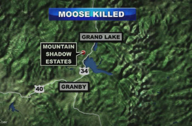 moose-map 