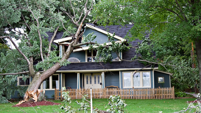 tree_on_house_Denise_Kappa-Shutterstock.com.jpg 