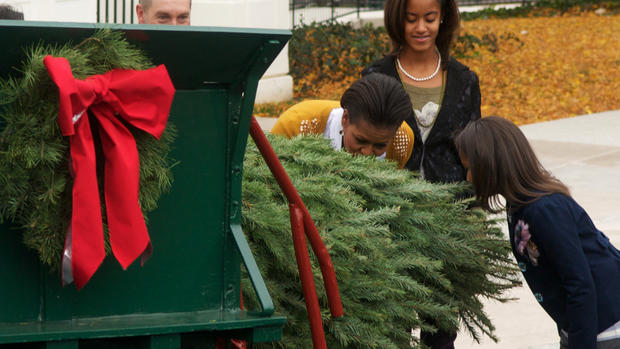 The White House Christmas Tree arrives 