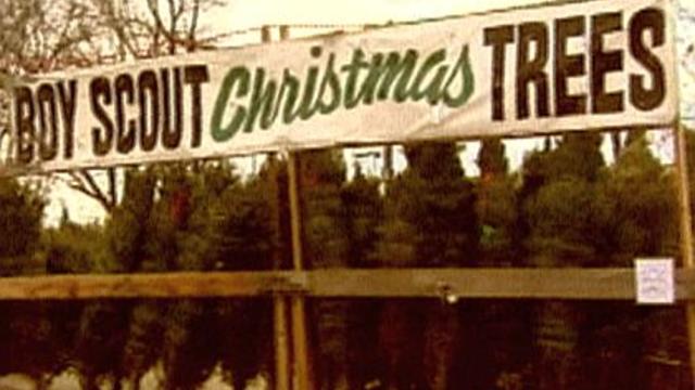 boy-scouts-christmas-trees.jpg 