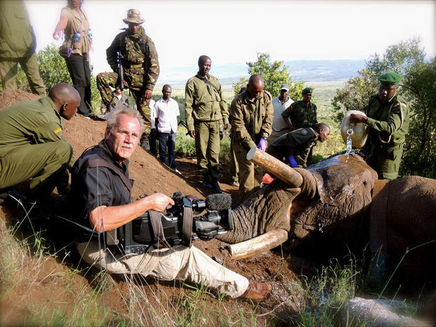 Mountain Bull with CBS News cameraman Wim DeVos, who stalked "The Bull" for nearly and hour, with full camera gear, alongside the Kenyan Wildlife Service veterinarian who darted the elephant with tranquilizers.  