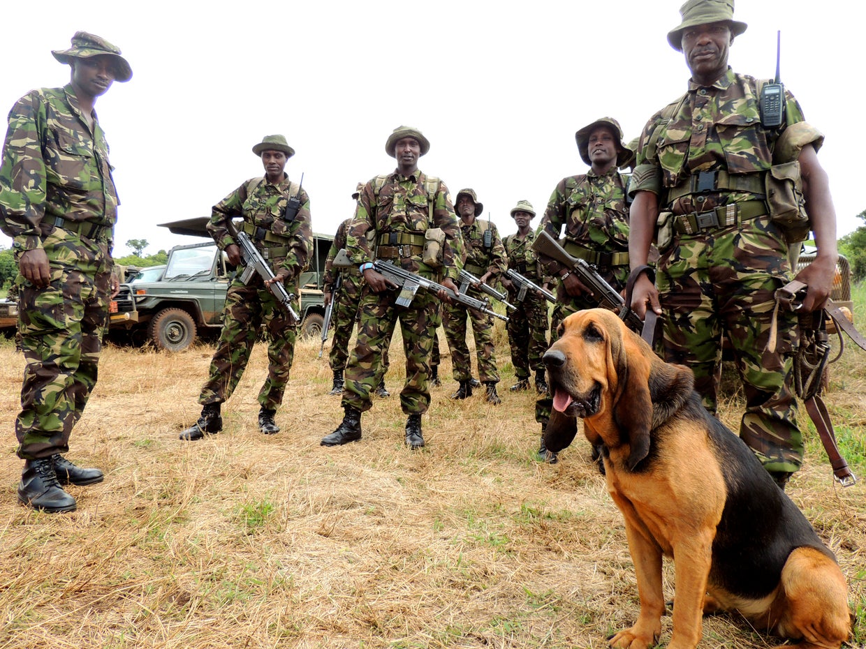 Blood & ivory: Elephant poaching in Kenya