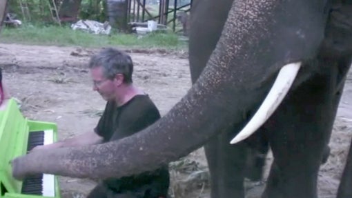 Peter_the_Elephant_Plays_Piano.jpg 