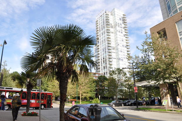 Vancouver_-_palm_trees_on_Hornby_Street_01.jpg 