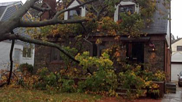 A downed tree rests against the house of Rosanne and Joe Cavaliere in the Queens borough of New York in this handout picture provided to CBS New York station WCBS-TV. 