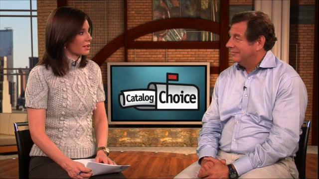 Startup| Catalog Chioce 