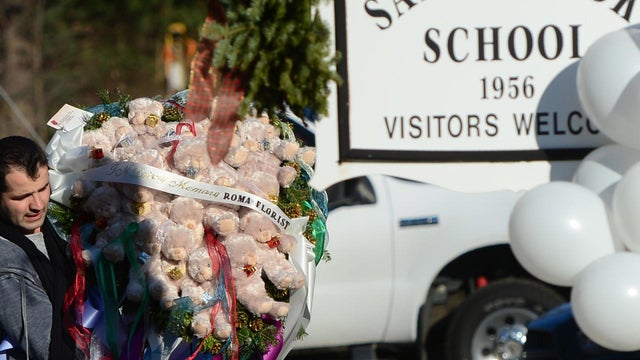 What was Adam Lanza's motive?  