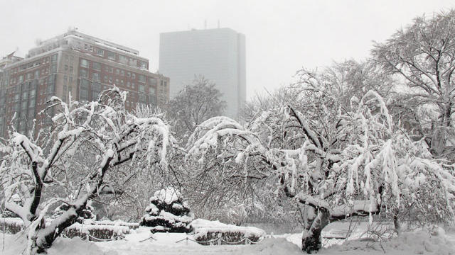 snowy-boston.jpg 