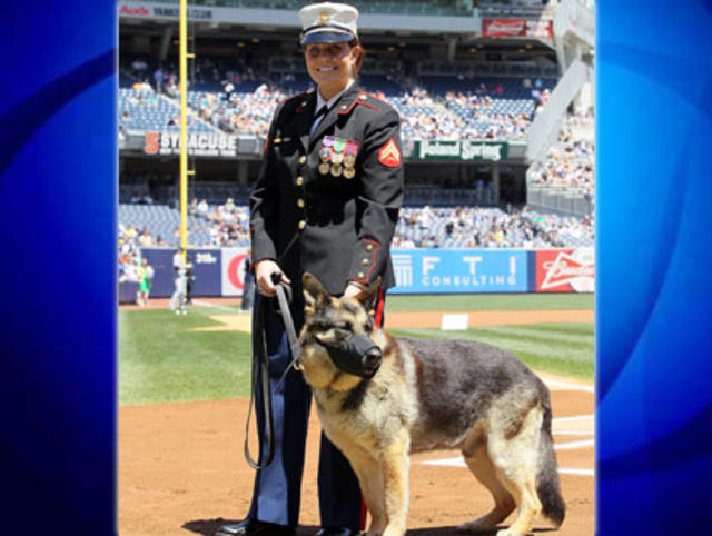 NY Yankees honor former Marine Cpl. and Purple Heart recipient Megan Leavey  and bomb-sniffing dog – New York Daily News