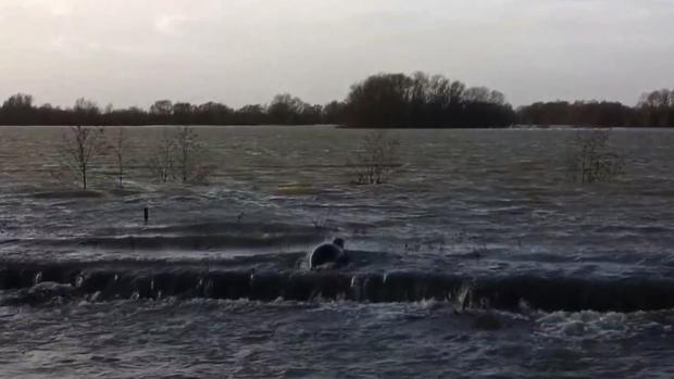 A seal from the sea spotted swimming across flooded fields north of London. 