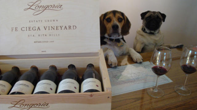 wandering-dog-wine-bar.jpg 