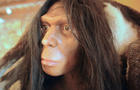 neanderthal-updated.jpg 