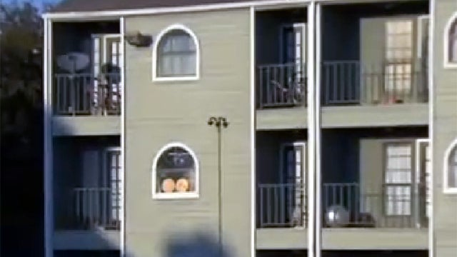 puppy with back to camera 