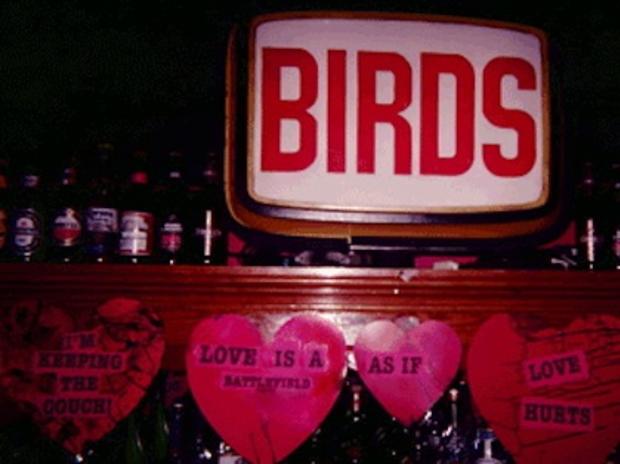 Birds Cafe &amp; Bar 