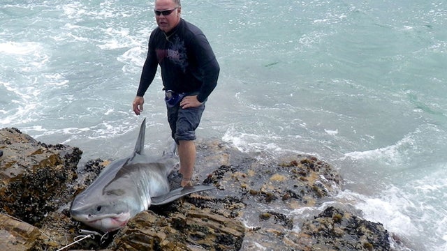 South African angler Leon Bekker is seen with a great white shark he landed 
