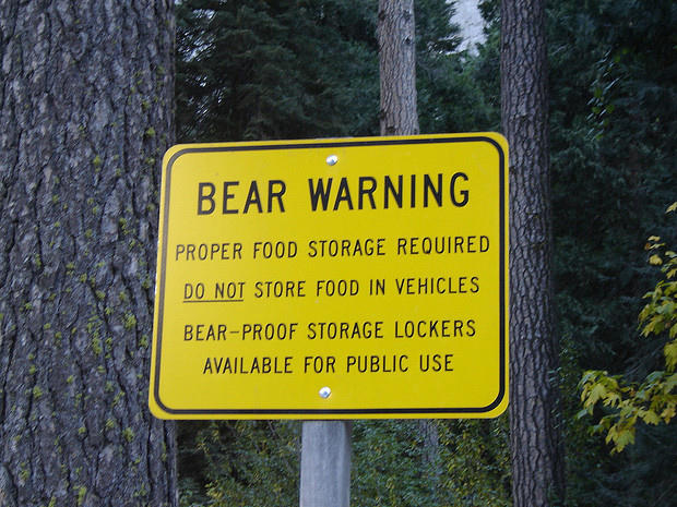 Bear warning 