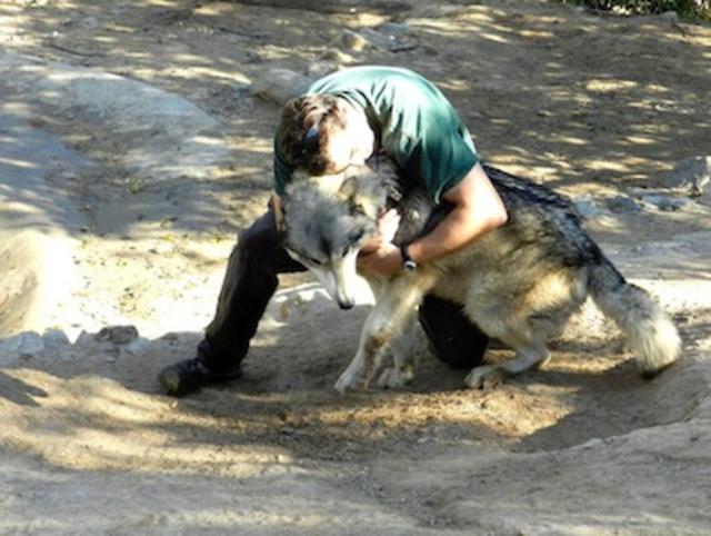 Best Animal Sanctuaries In Southern California - CBS Los Angeles
