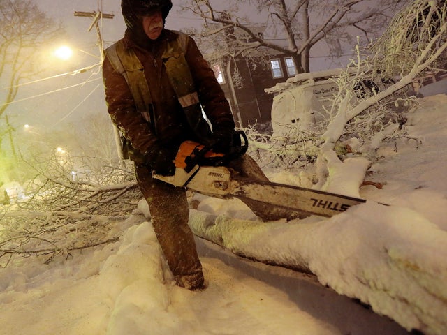 Louie Rodriguez of the New Bedford Forestry Department cuts a fallen tree in New Bedford, Mass., Feb. 8, 2013, after heavy snow and winds from a storm. 