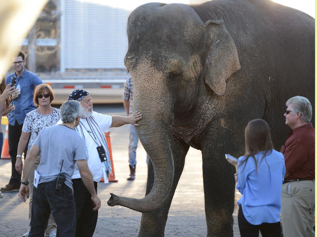 Photographer Bruce Weber (wearing bandana) greets Tai the Elephant as they get ready to roll. 