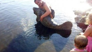 manateeharassmentL.jpg 