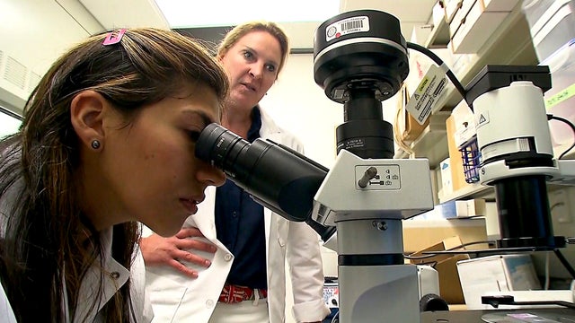 Professor Laura Niedernhofer at the Scripps Research Institute in Florida overlooks the work of one of her scientists. 
