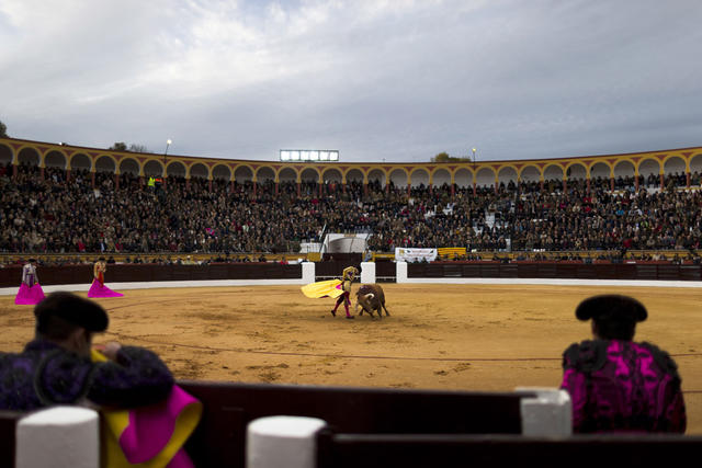 Bullfighters spanish arrows truck decoration