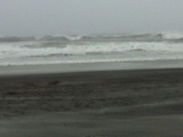 in-brigantine-for-this-storm-high-winds-and-high-tide-have-churned-up-some-big-waves.png 