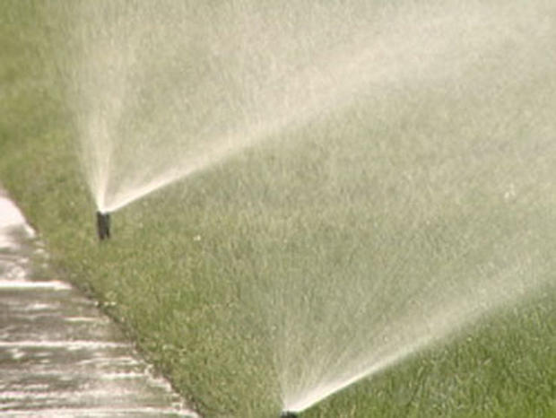 Sprinklers Water Restrictions Lawn Watering 