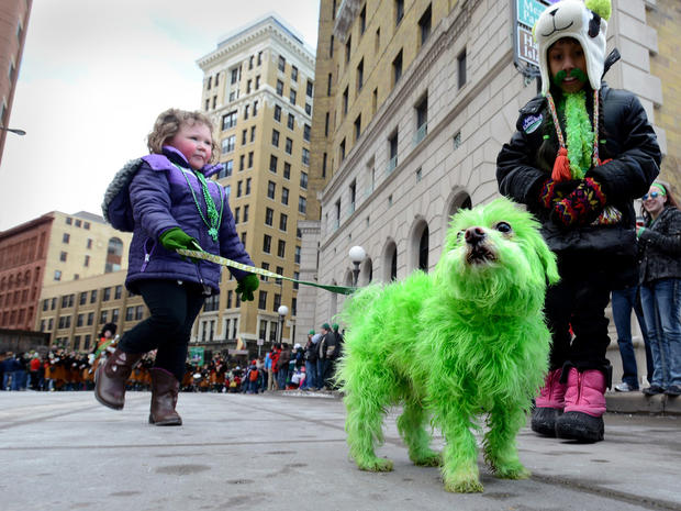 Four year-old Mia York, left, walks her dog Howie, a Maltese, in the St. Patrick's Day parade in downtown St. Paul, Minn., March 16, 2013. 