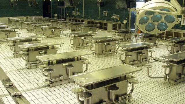 Graz Institute of Anatomy 